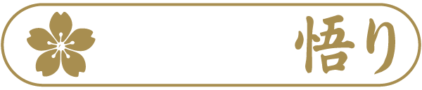Satori Experience